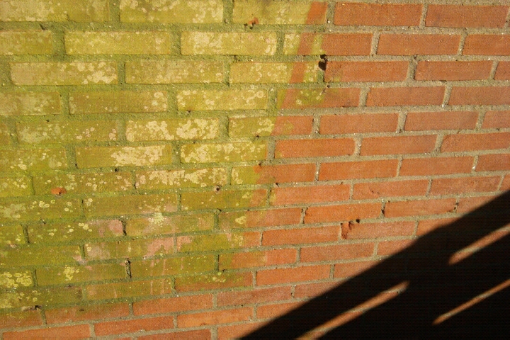 groen.jpg