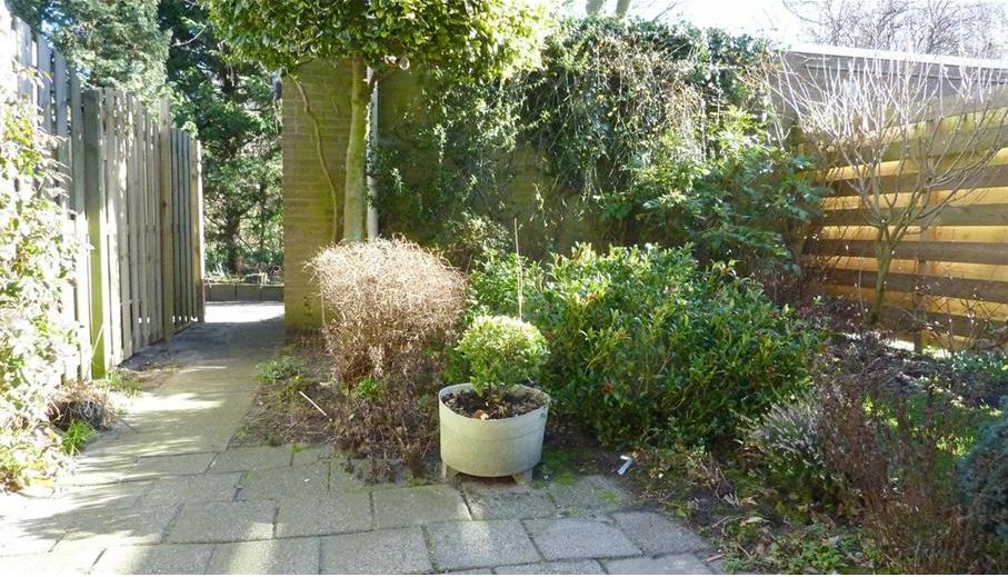 tuinbegin.JPG